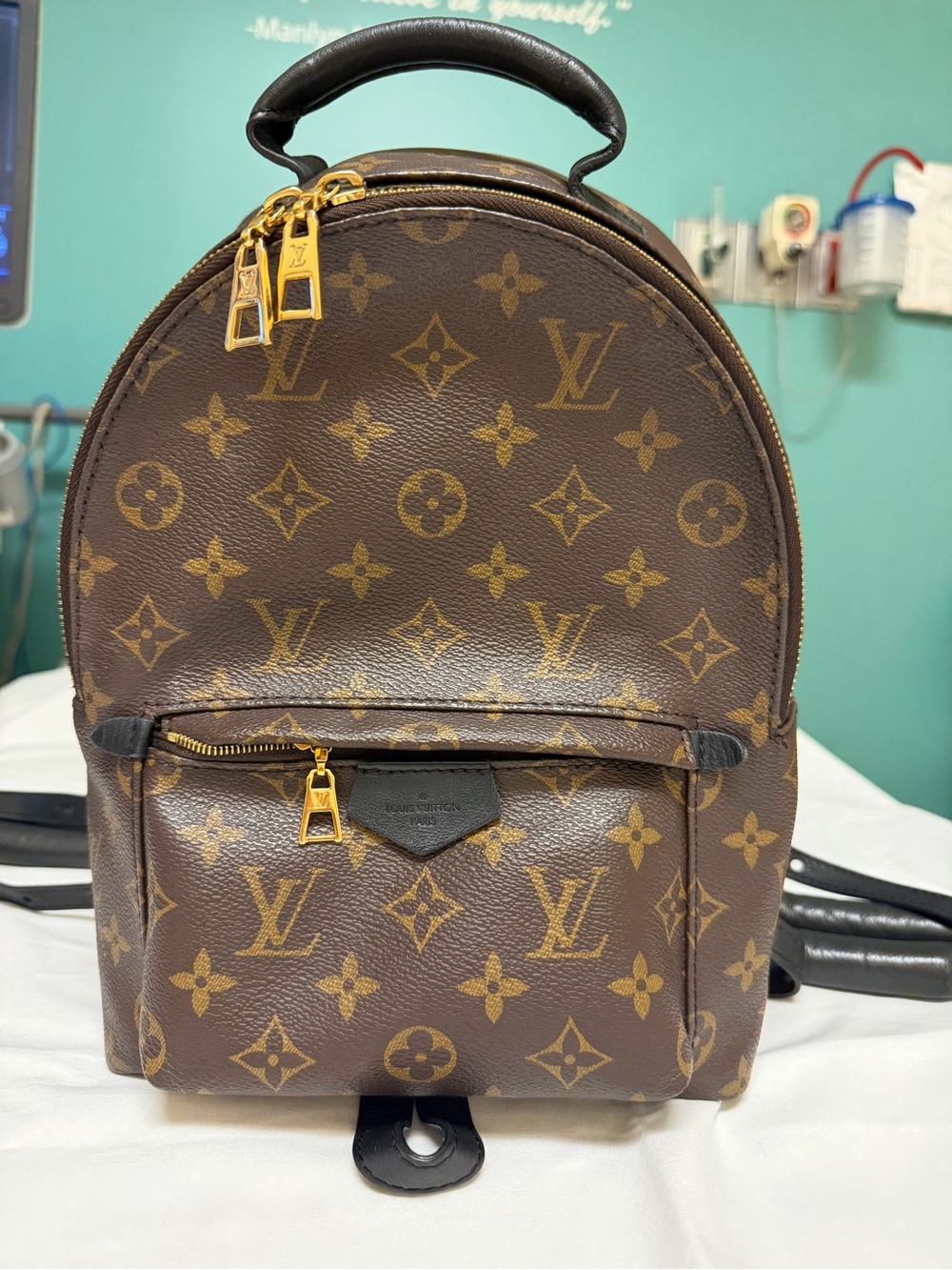 Louis Vuitton Monogram Mini Palm Springs Backpack in Brown and Gold